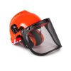 Safety Helmet with Visor